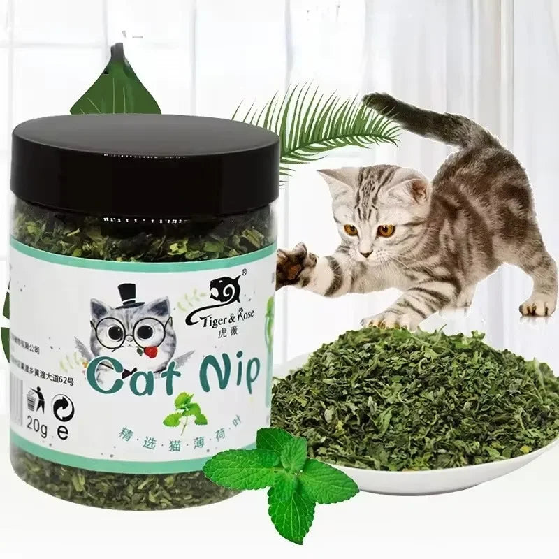 Cat Nip para Gatos
